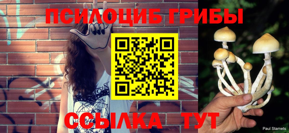 Псилоцибиновые грибы Cubensis Норильск