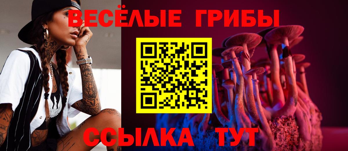 Норильск  закладка  Вход с VPN  Галлюциногенные грибы Psilocybe  Псилоцибиновые грибы GOLDEN TEACHER 